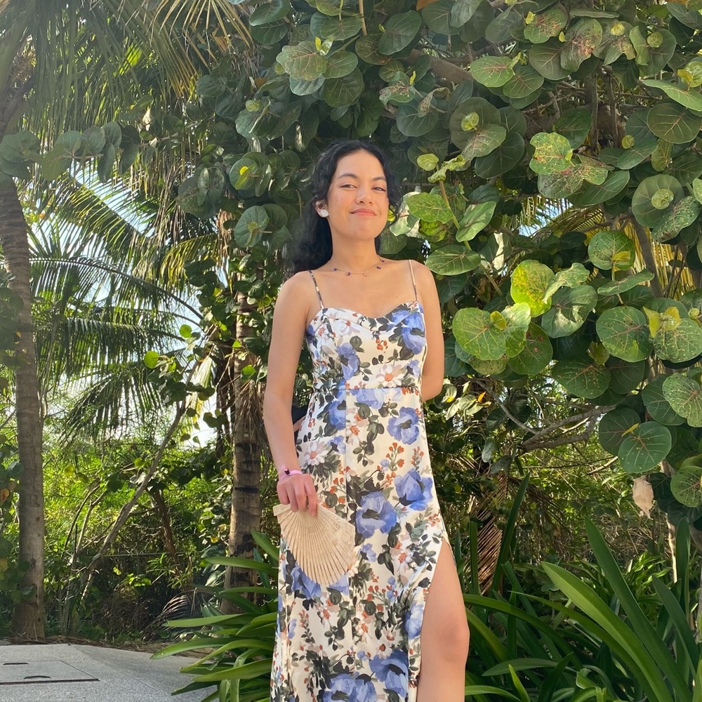 Abercrombie wedding guest dress blue and white floral